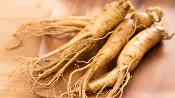 Everything You Need To Know About Korean Ginseng