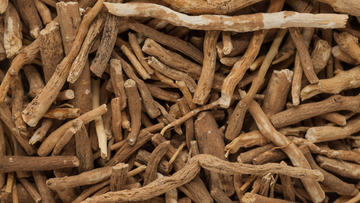 What Is Ashwagandha? Its Benefits And Everything You Need To Know