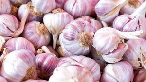 Health Benefits of Garlic