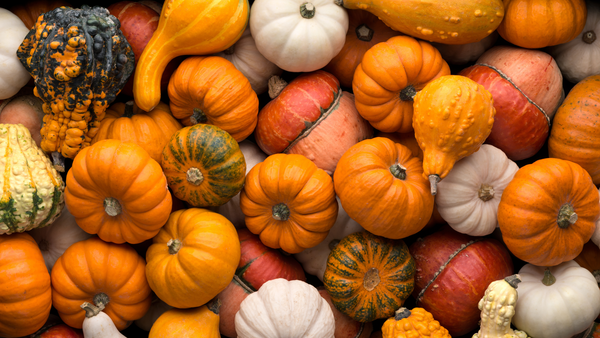 Health Benefits Of Pumpkin